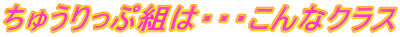 ちゅうりっぷ組は・・・こんなクラス