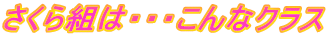 さくら組は・・・こんなクラス